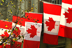  Đại sứ quán Canada cảnh báo lừa nhập cư Canada